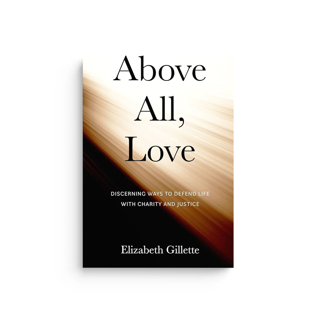 Above All, Love: Discerning Ways to Defend Life with Charity and Justice