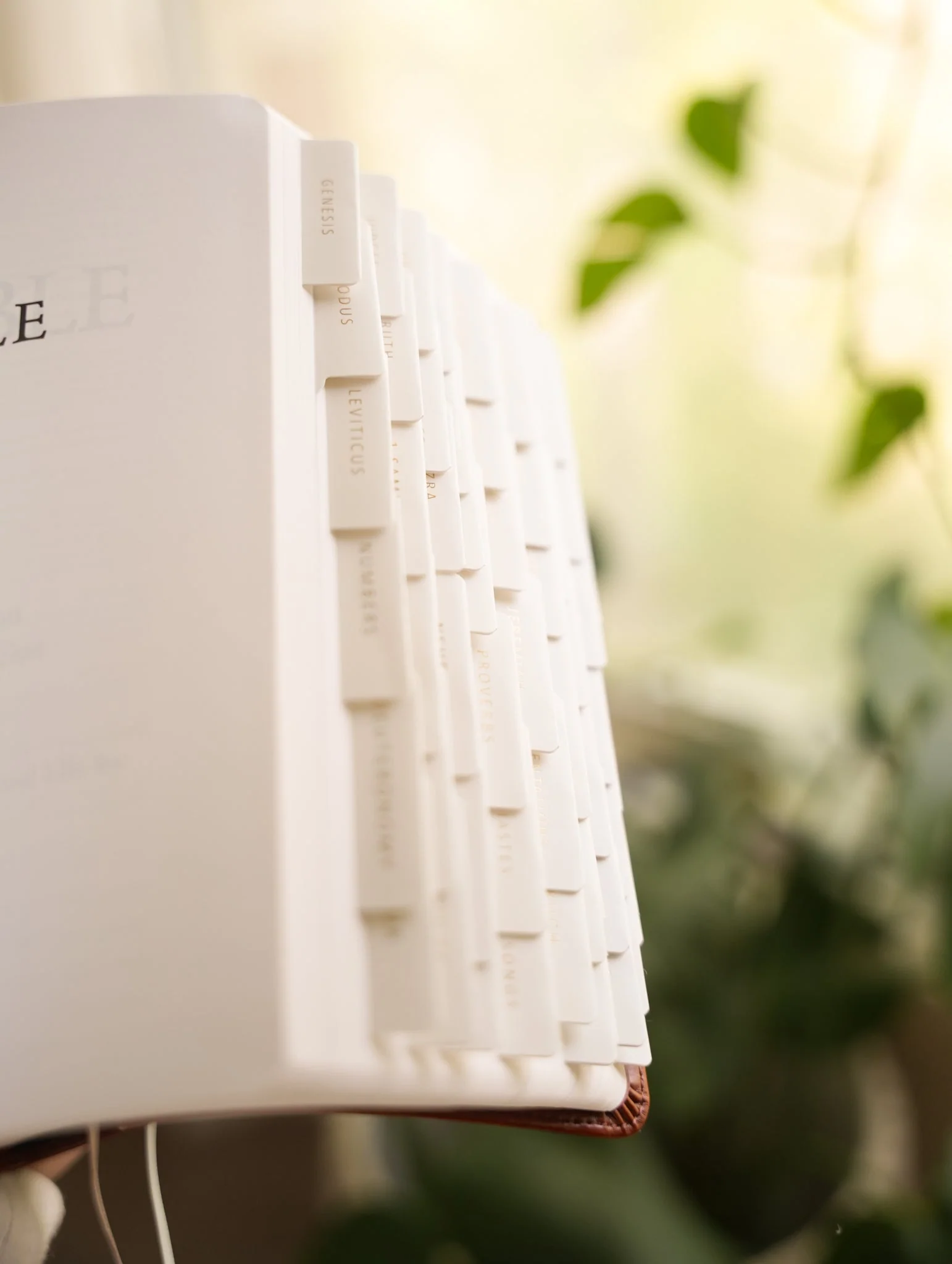 Bible Tabs - Image 4
