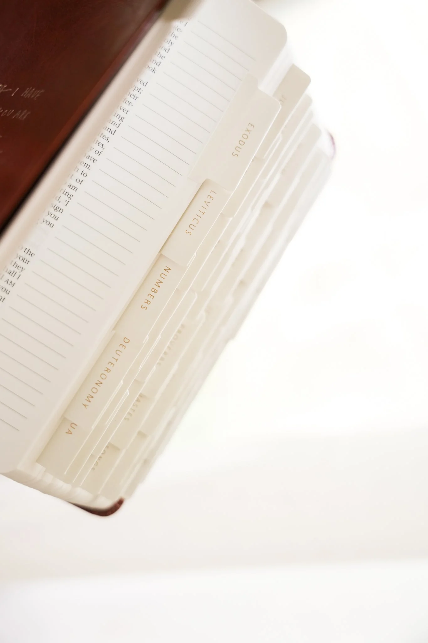 Bible Tabs - Image 7
