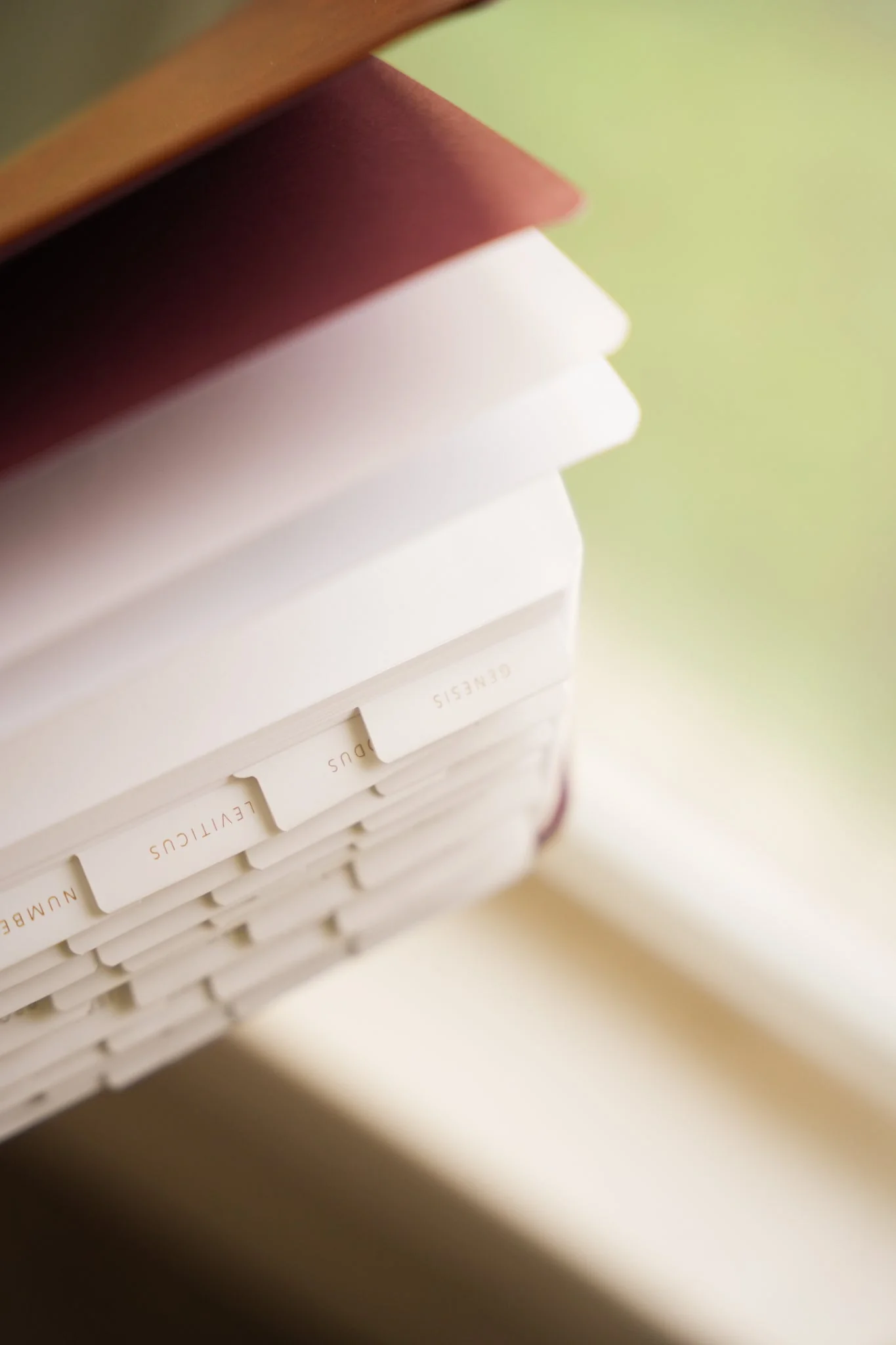 Bible Tabs - Image 9