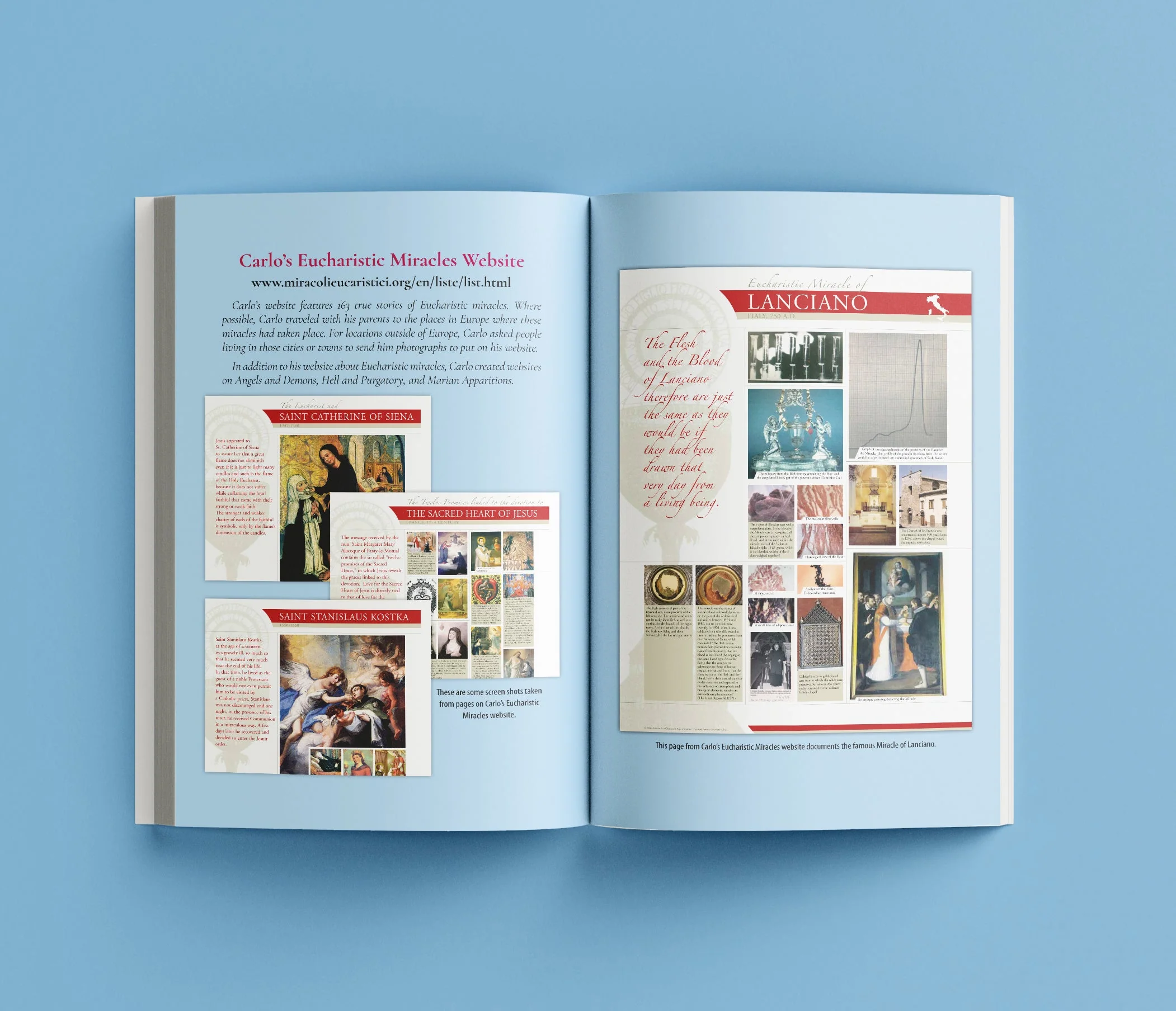 Saint Carlo Acutis: The Amazing Discovery of a Teenager in Heaven second edition - Image 5