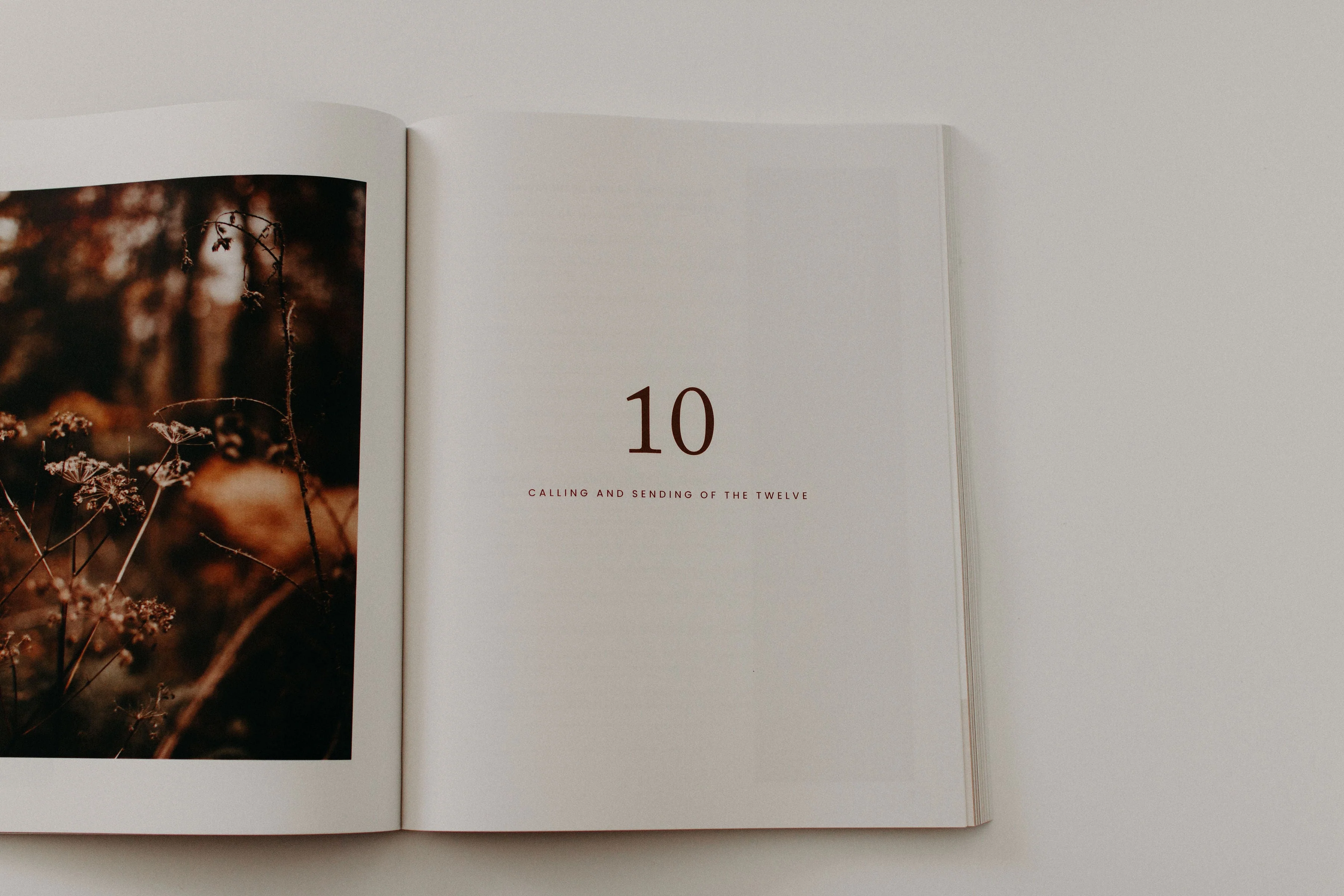 Catholic Bible Study: Unveiling the Gospel of Matthew - Image 6