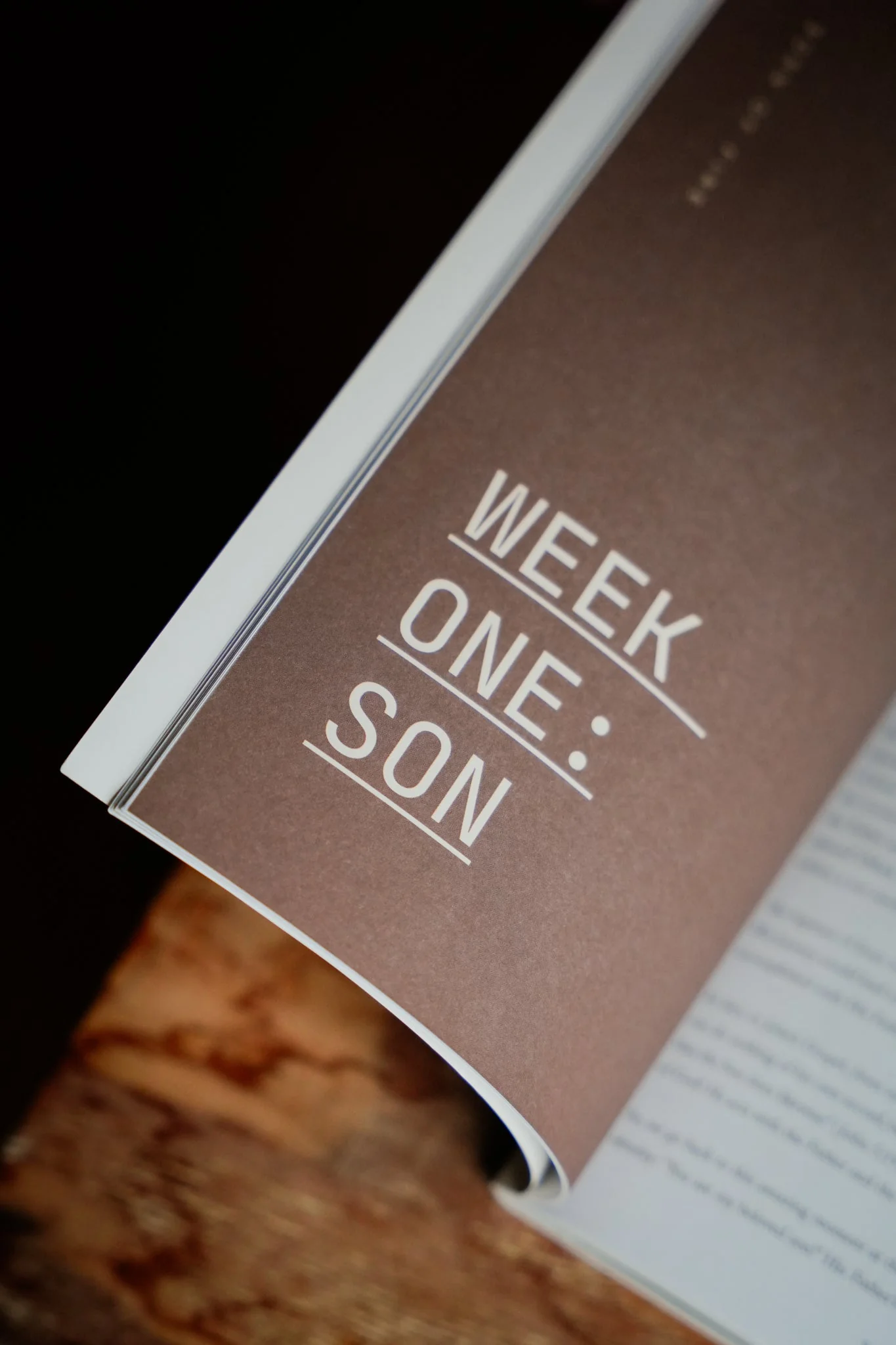 Catholic Devotional for Men: Born of Fire - Image 2