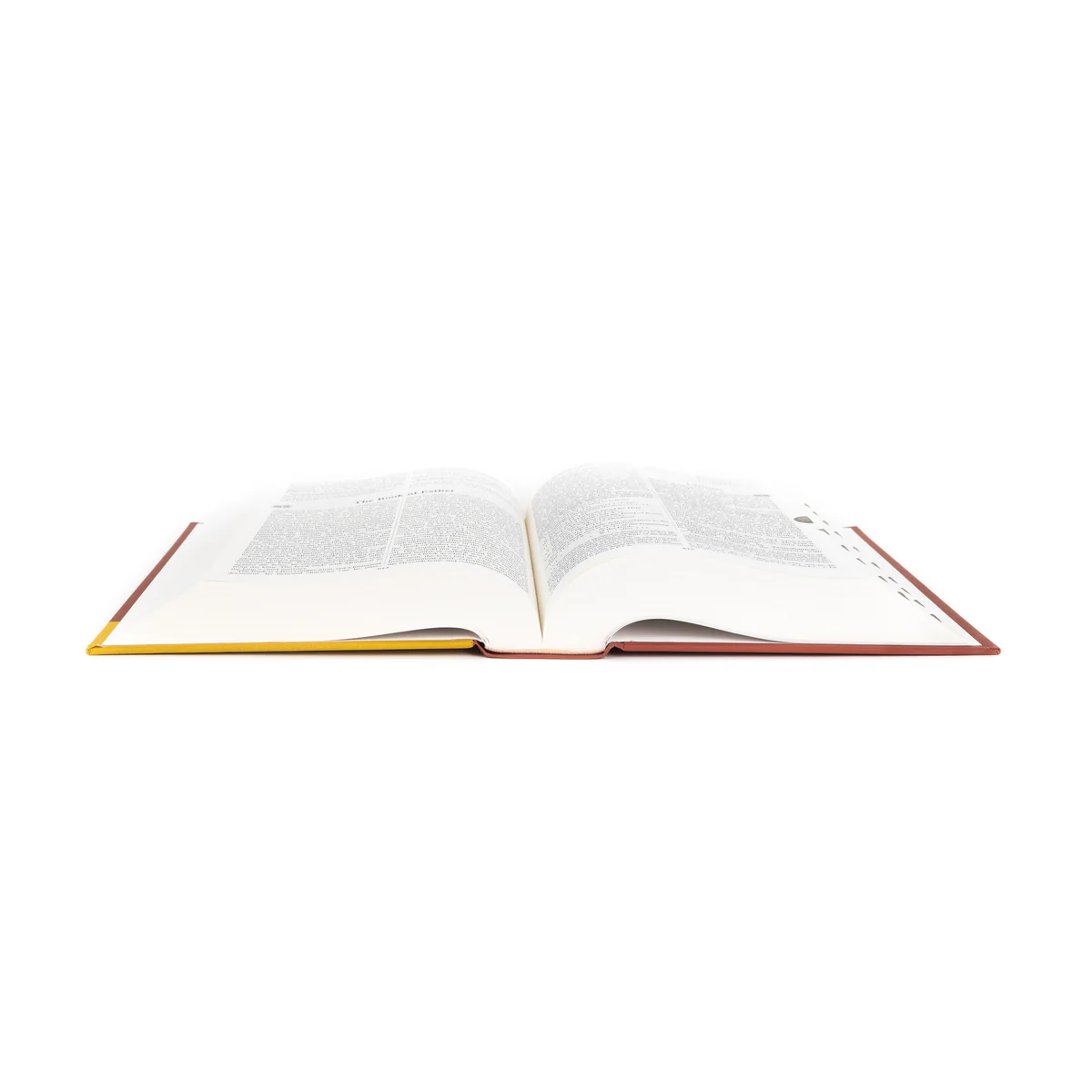 Catholic Study Bible-NAB (Revised) - Image 4