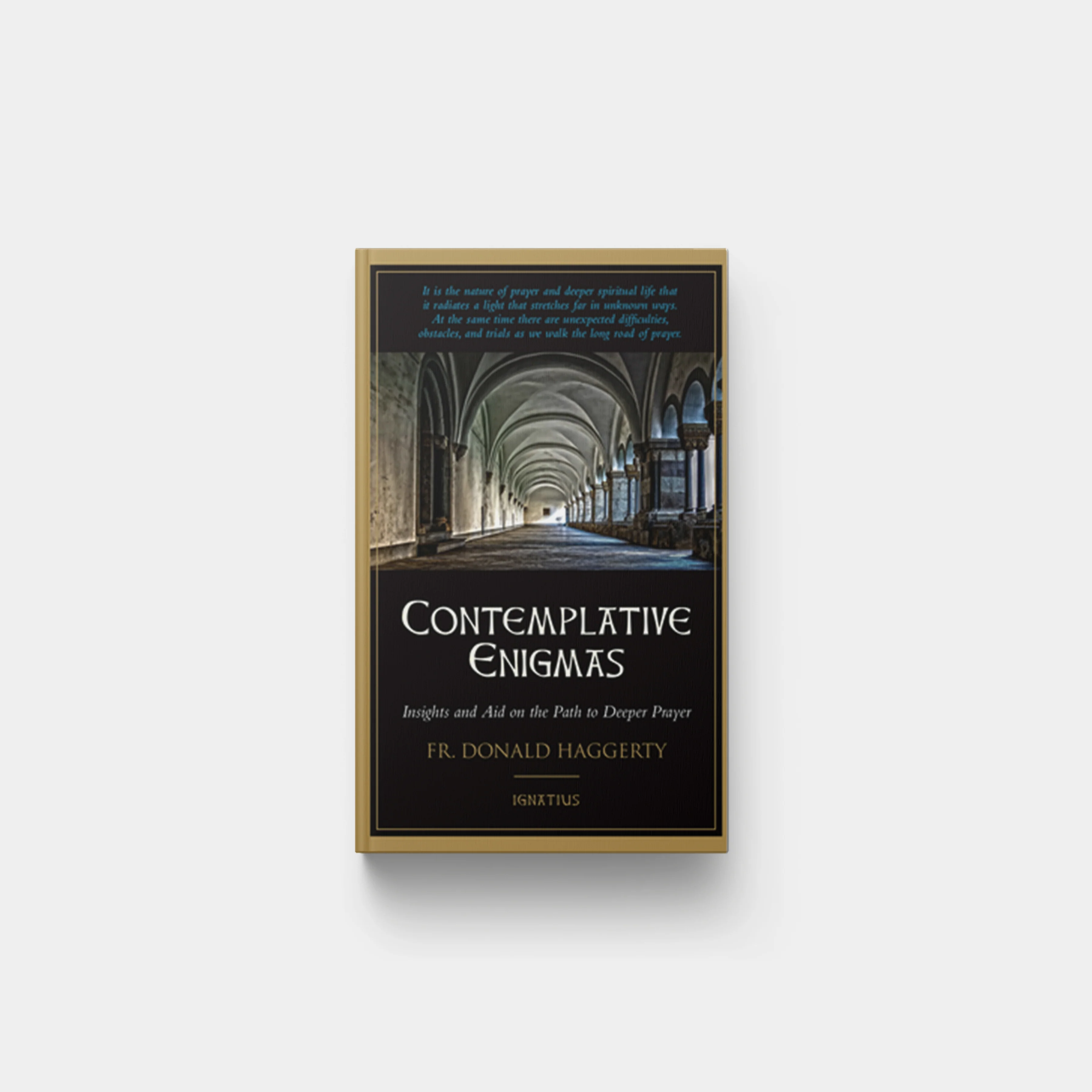 Contemplative Enigmas: Insights and Aid on the Path to Deeper Prayer