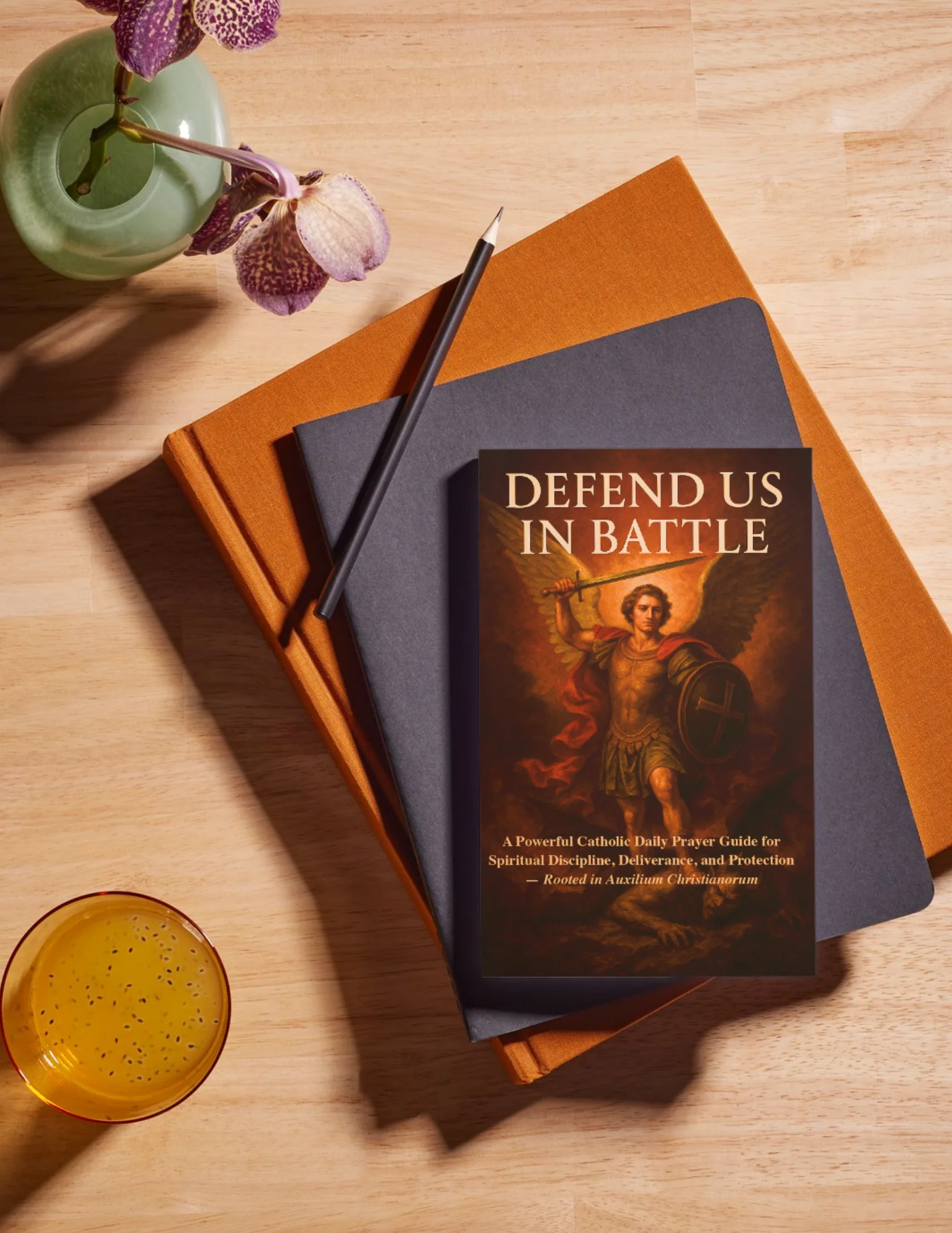 Defend Us in Battle - Image 14
