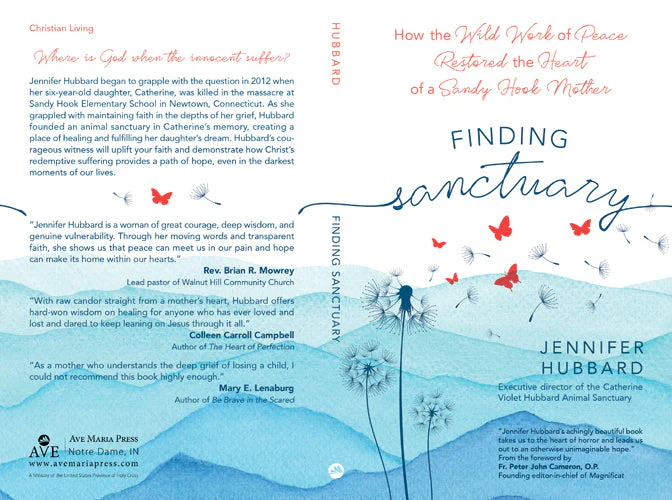 Finding Sanctuary - Image 2