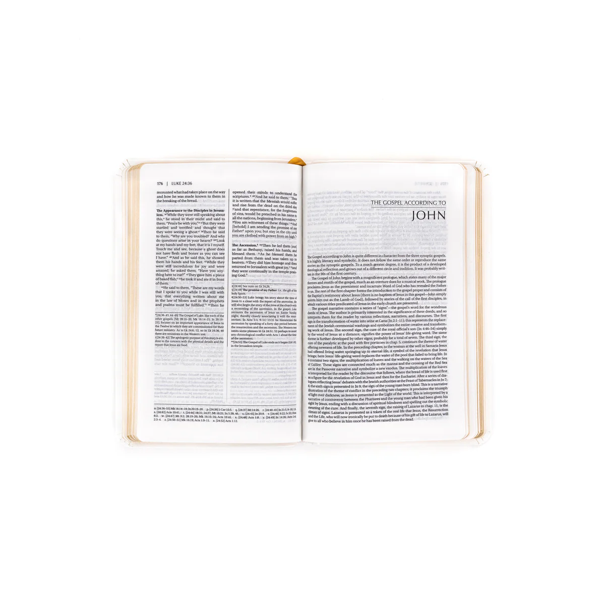 First Communion Bible: New Testament - Image 4