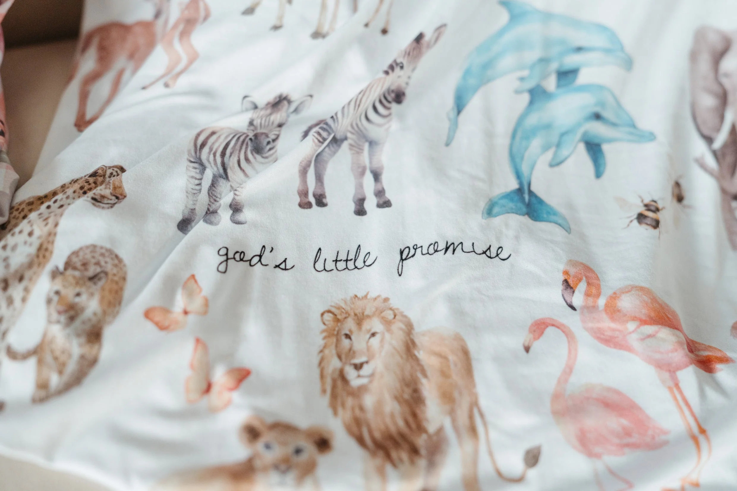 God's Little Promise Minky Blanket - Image 2