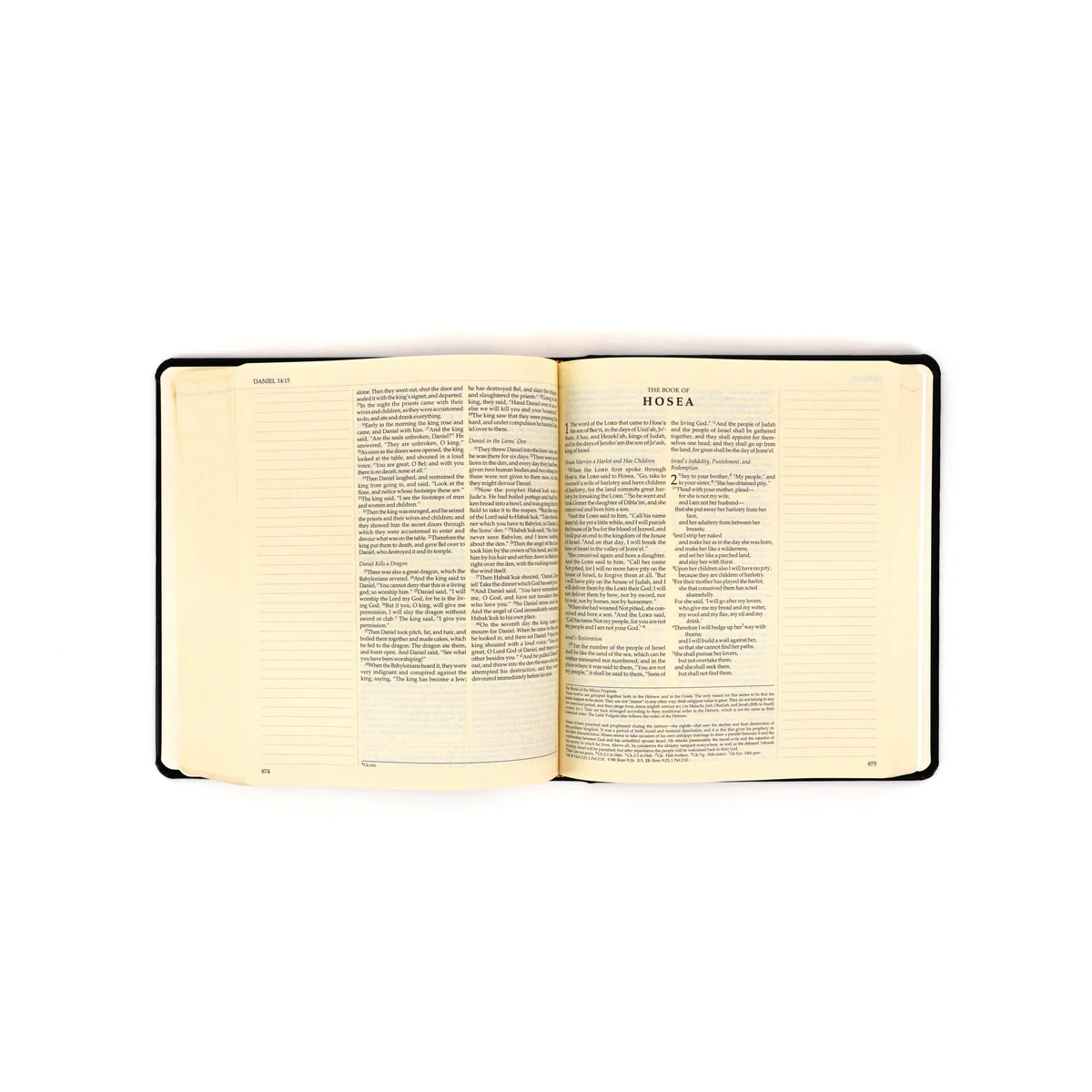Ignatius Journaling Bible (RSV, 2CE) - Image 4