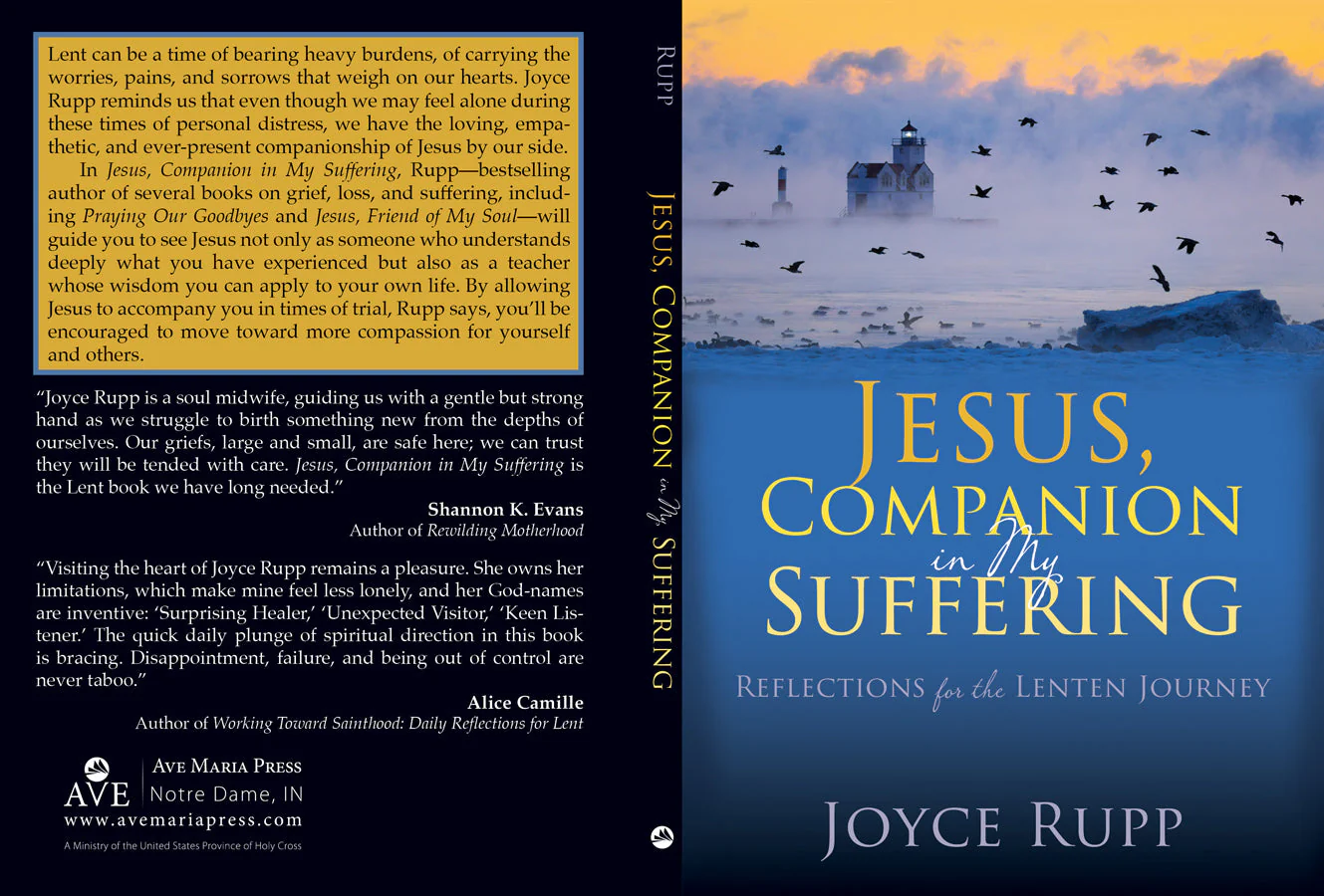 Jesus, Companion in My Suffering - Image 2