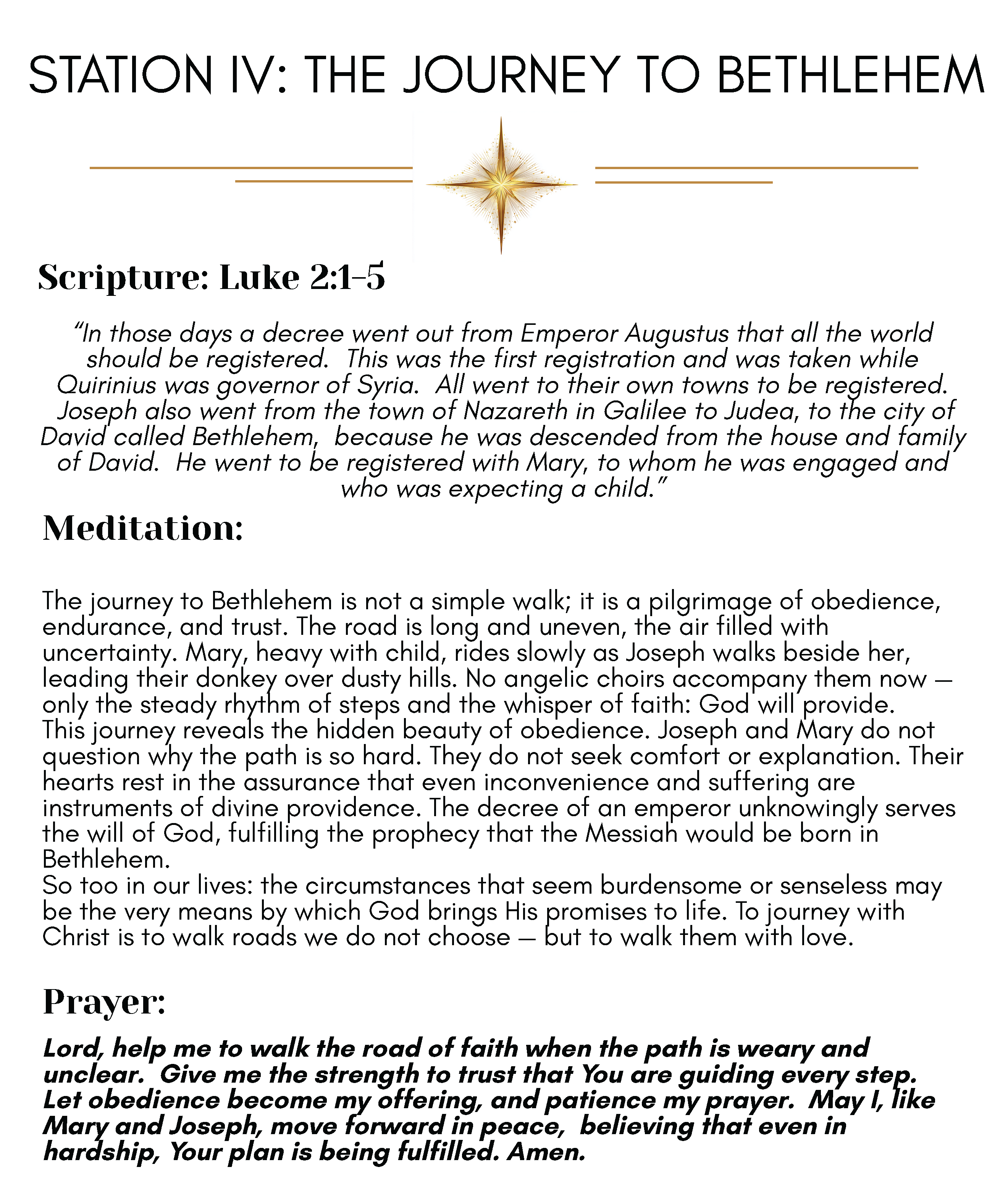 Journey to Bethlehem - Image 13