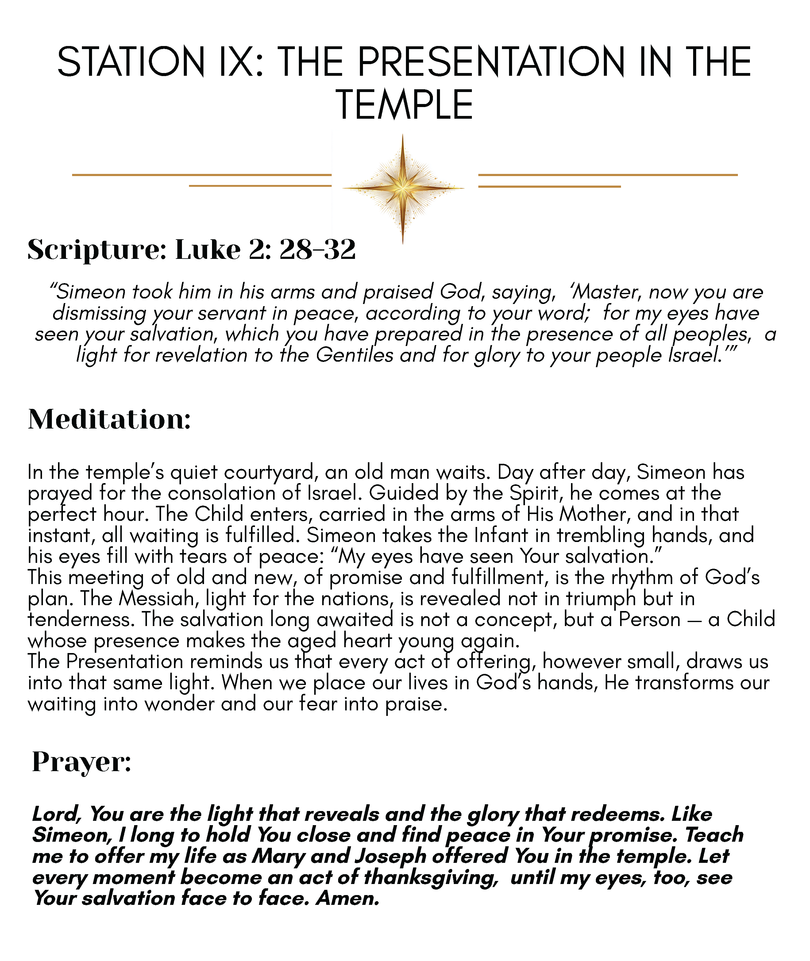 Journey to Bethlehem - Image 22