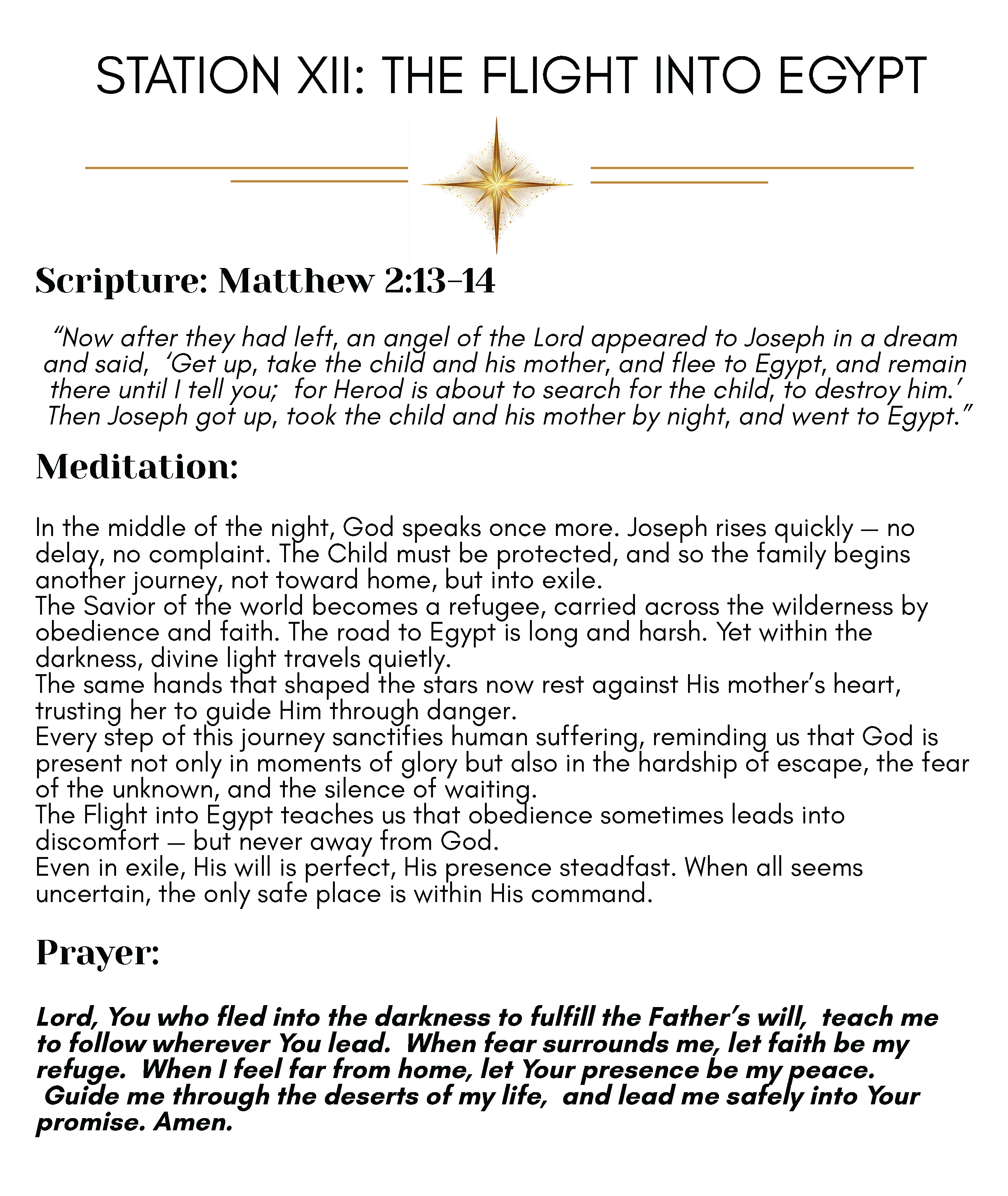 Journey to Bethlehem - Image 28
