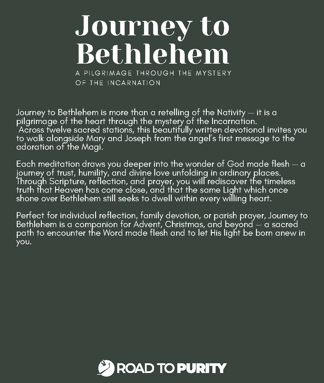 Journey to Bethlehem - Image 31