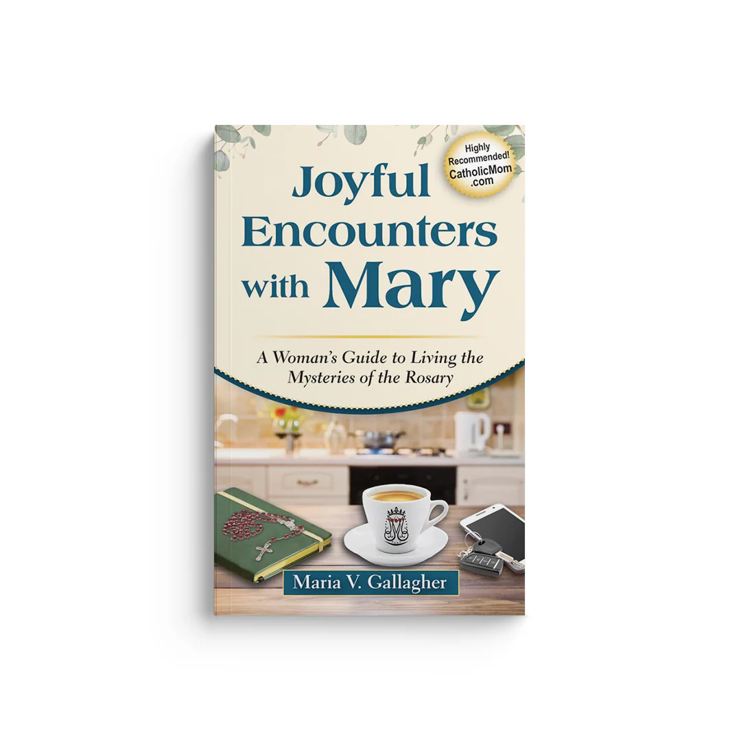 Joyful Encounters with Mary: A Woman's Guide to Living the Mysteries of the Rosary