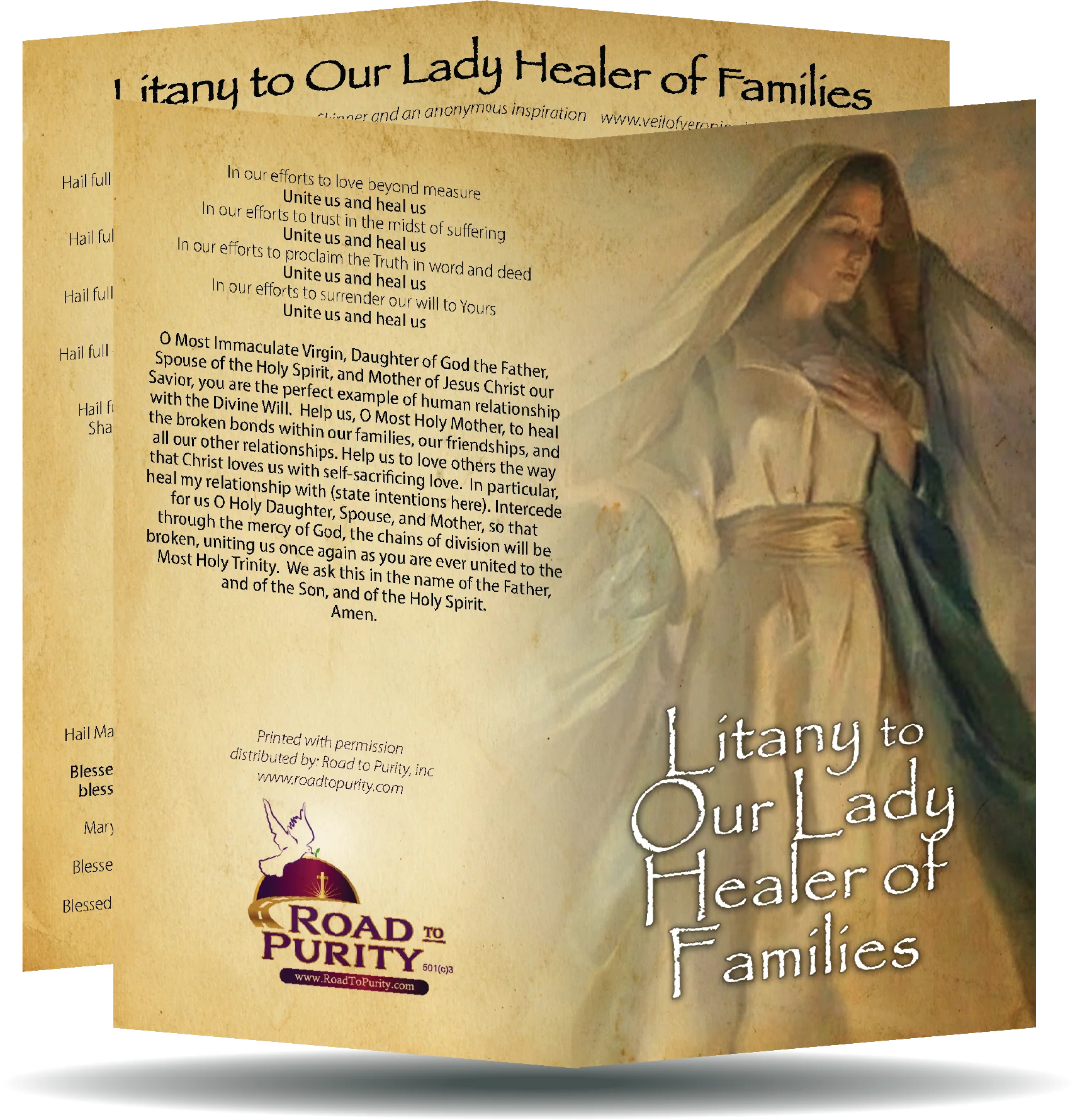 Litany to Our Lady Healer of Families  - Prayer Card / 3" x 6" folded (c)