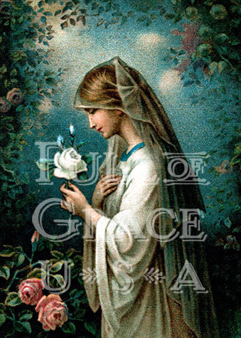 Our Lady of the Mystical Rose - Image 2