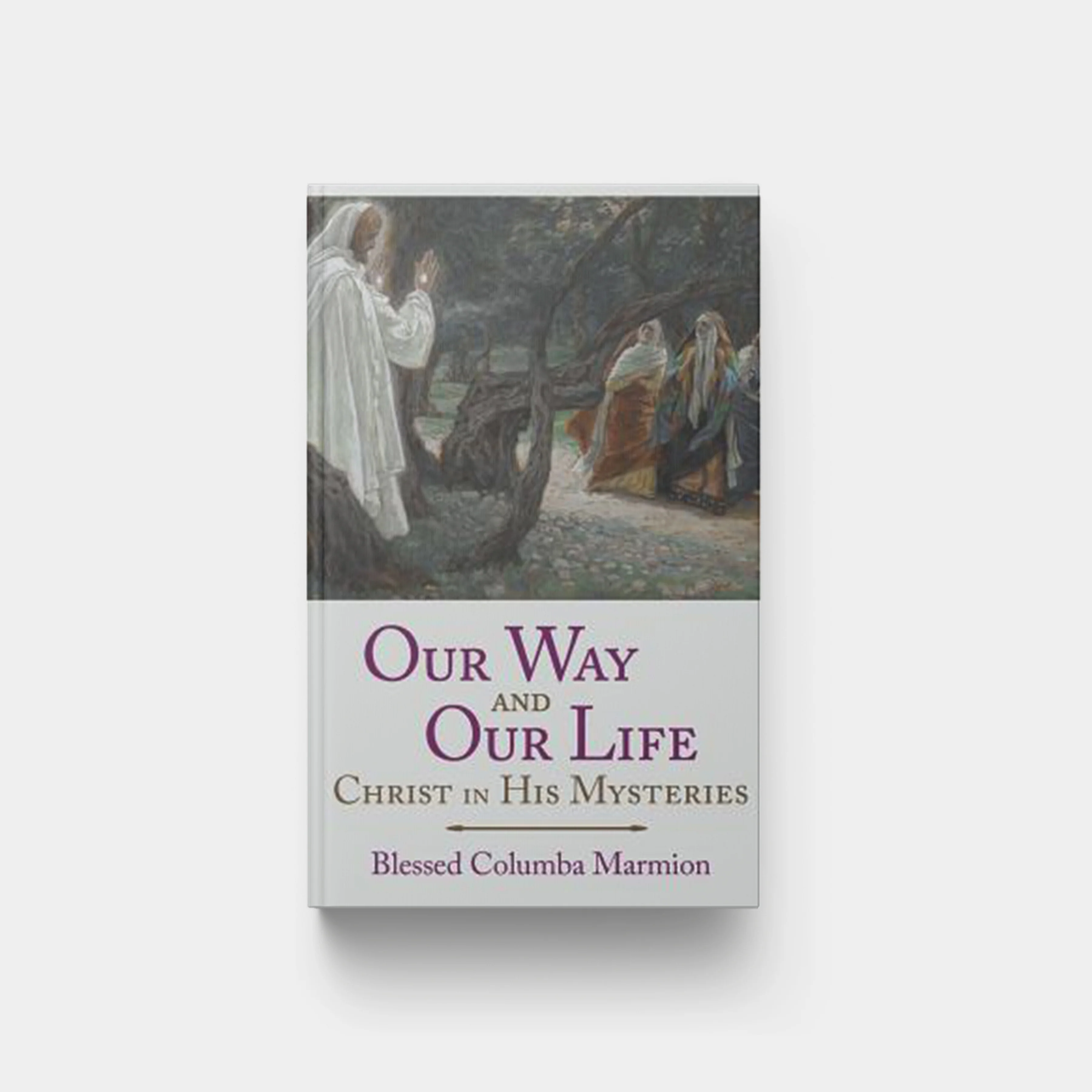 Our Way and Our Life: Christ in His Mysteries