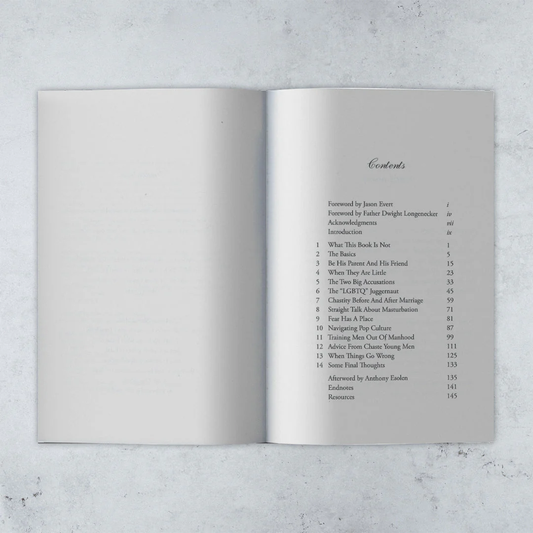 Raising Chaste Catholic Men - Expanded 2nd Edition - Image 2