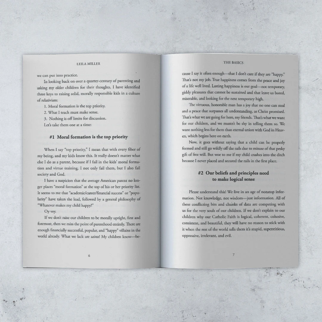 Raising Chaste Catholic Men - Expanded 2nd Edition - Image 4