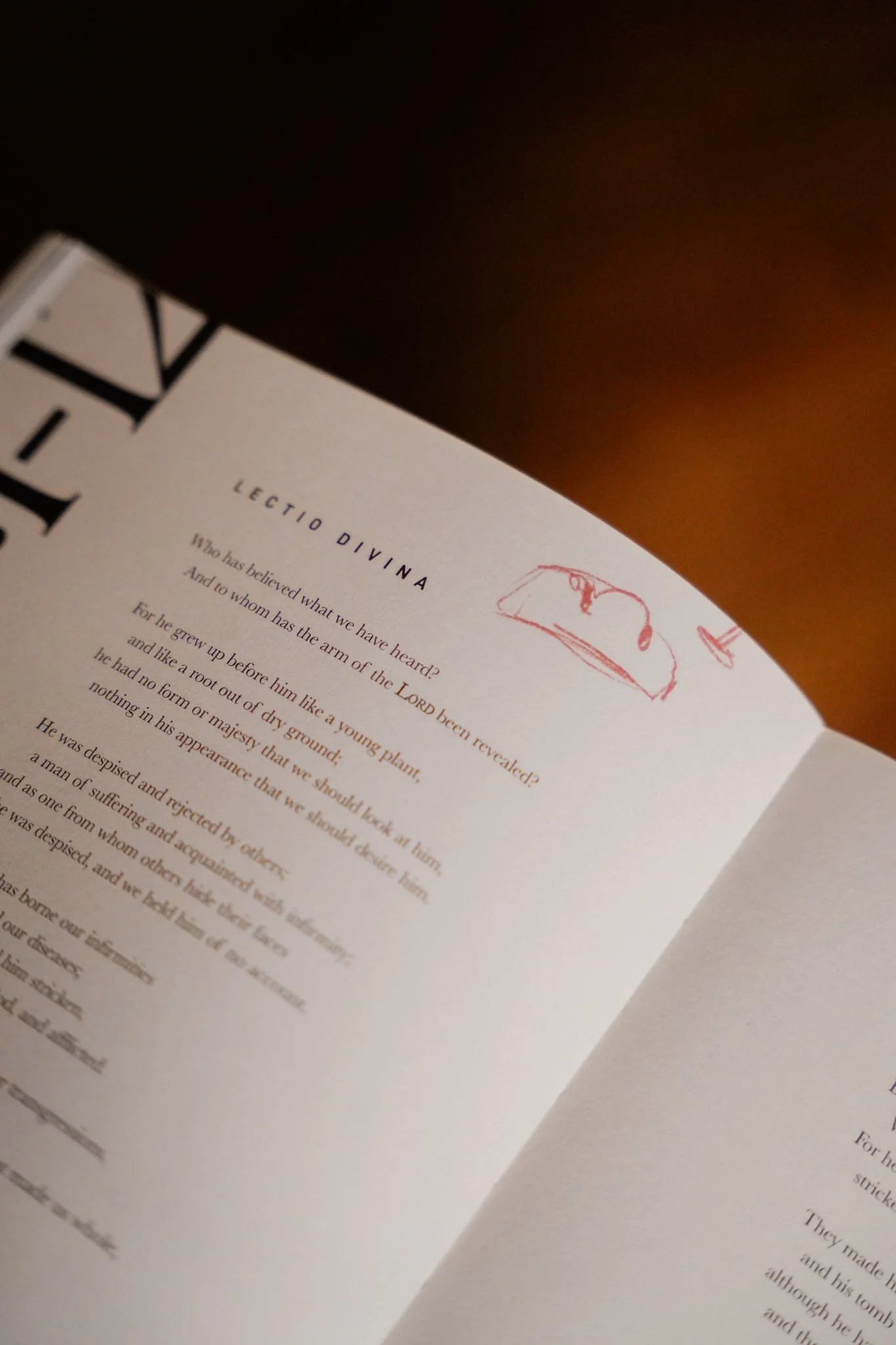 Rescued: A Study on the Lamb of God - Image 6