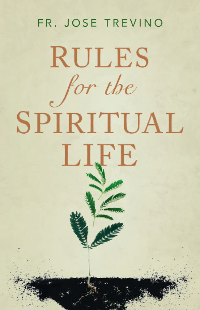 Rules for the Spiritual Life - Image 2