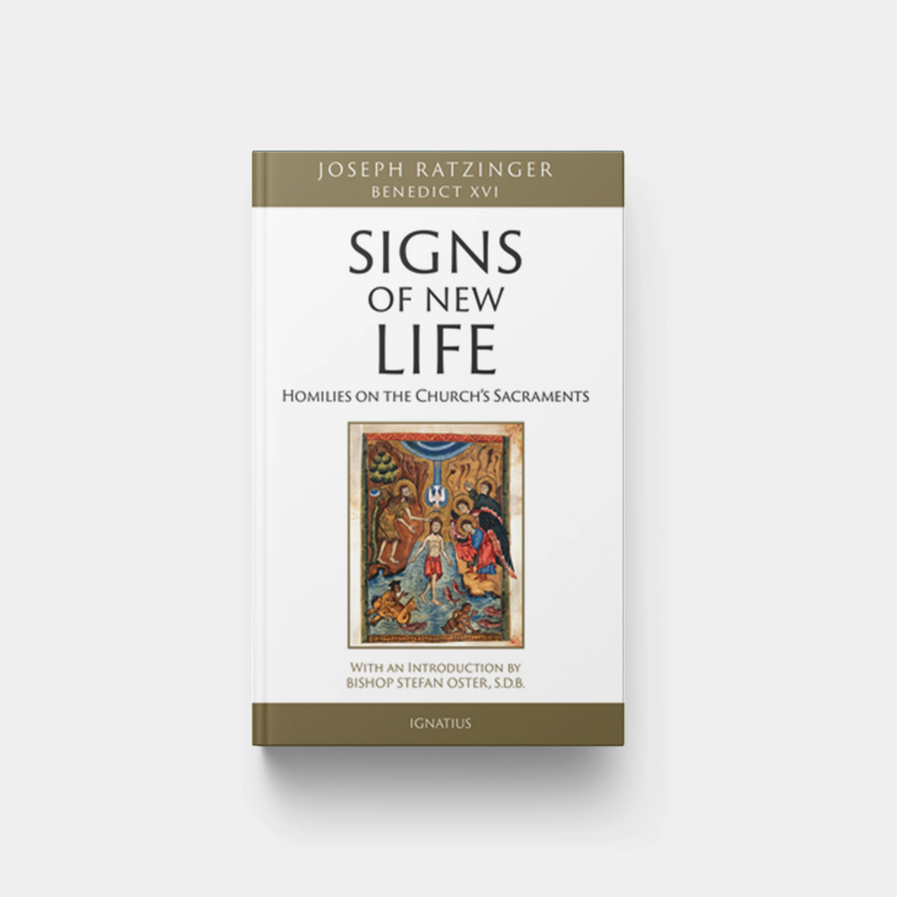 Signs of New Life