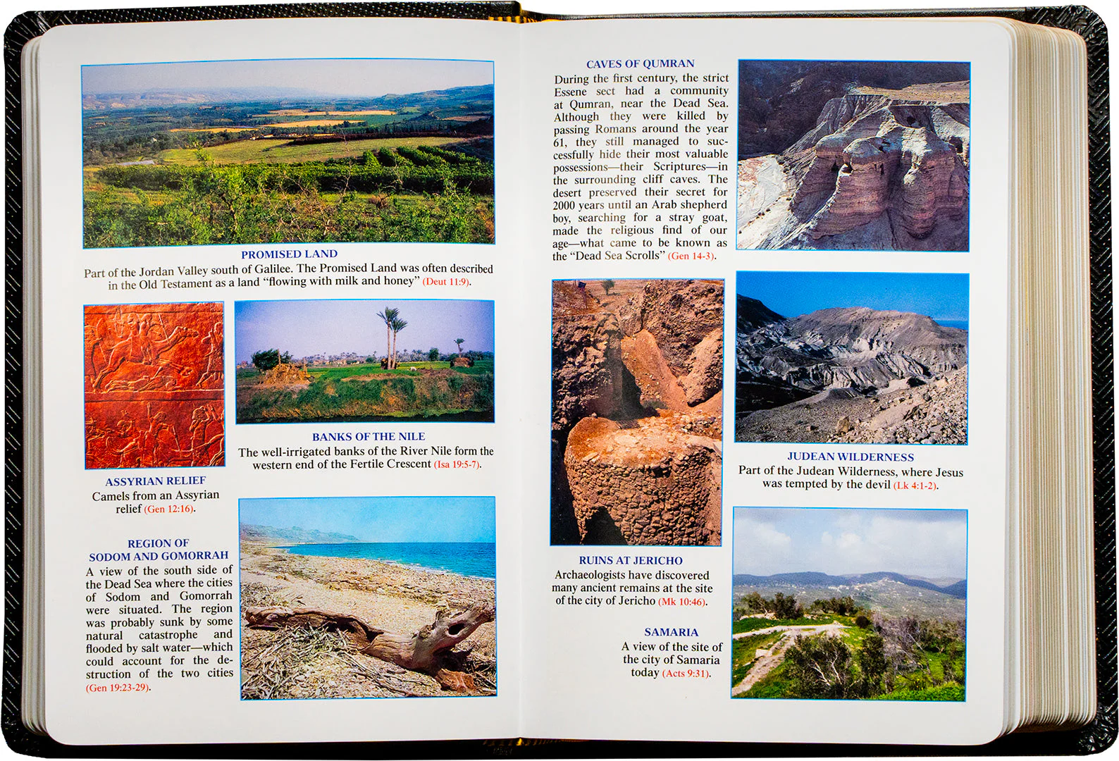 St. Joseph New Catholic Bible - Compact Size - Image 5