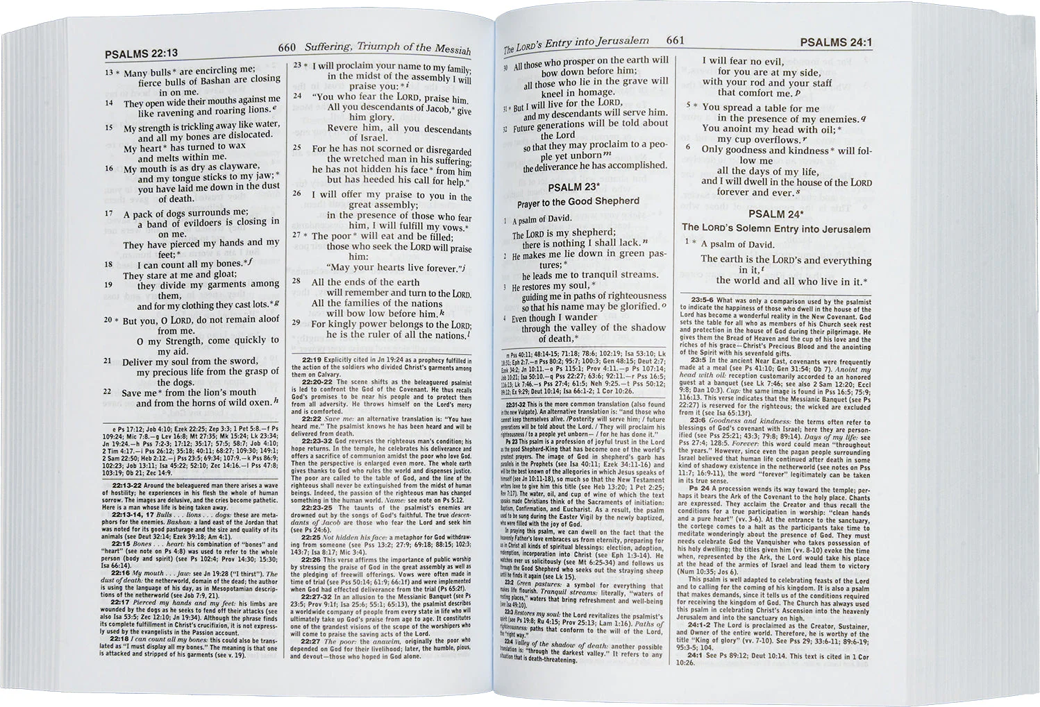 St. Joseph New Catholic Bible - Compact Size Study Edition - Image 3