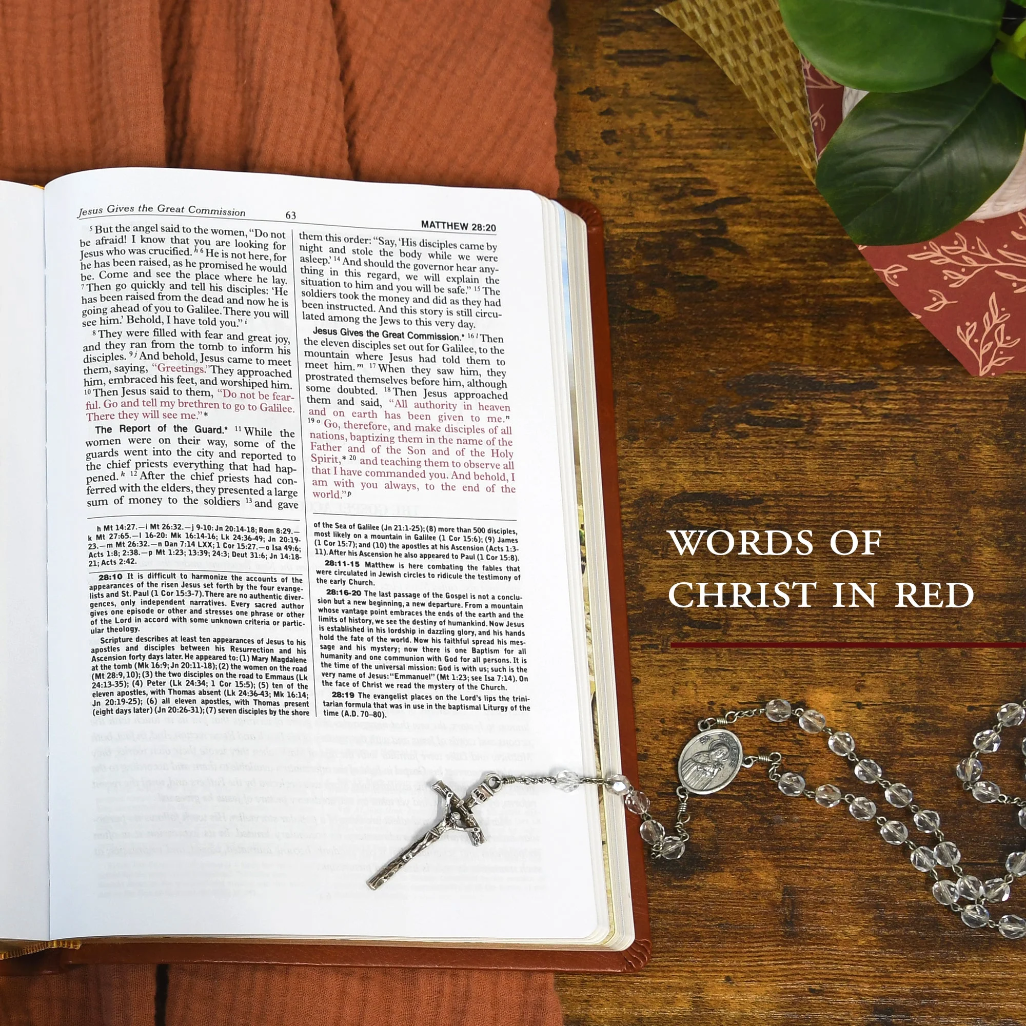 St. Joseph New Catholic Bible (Gift Edition - Large Type) - Image 9