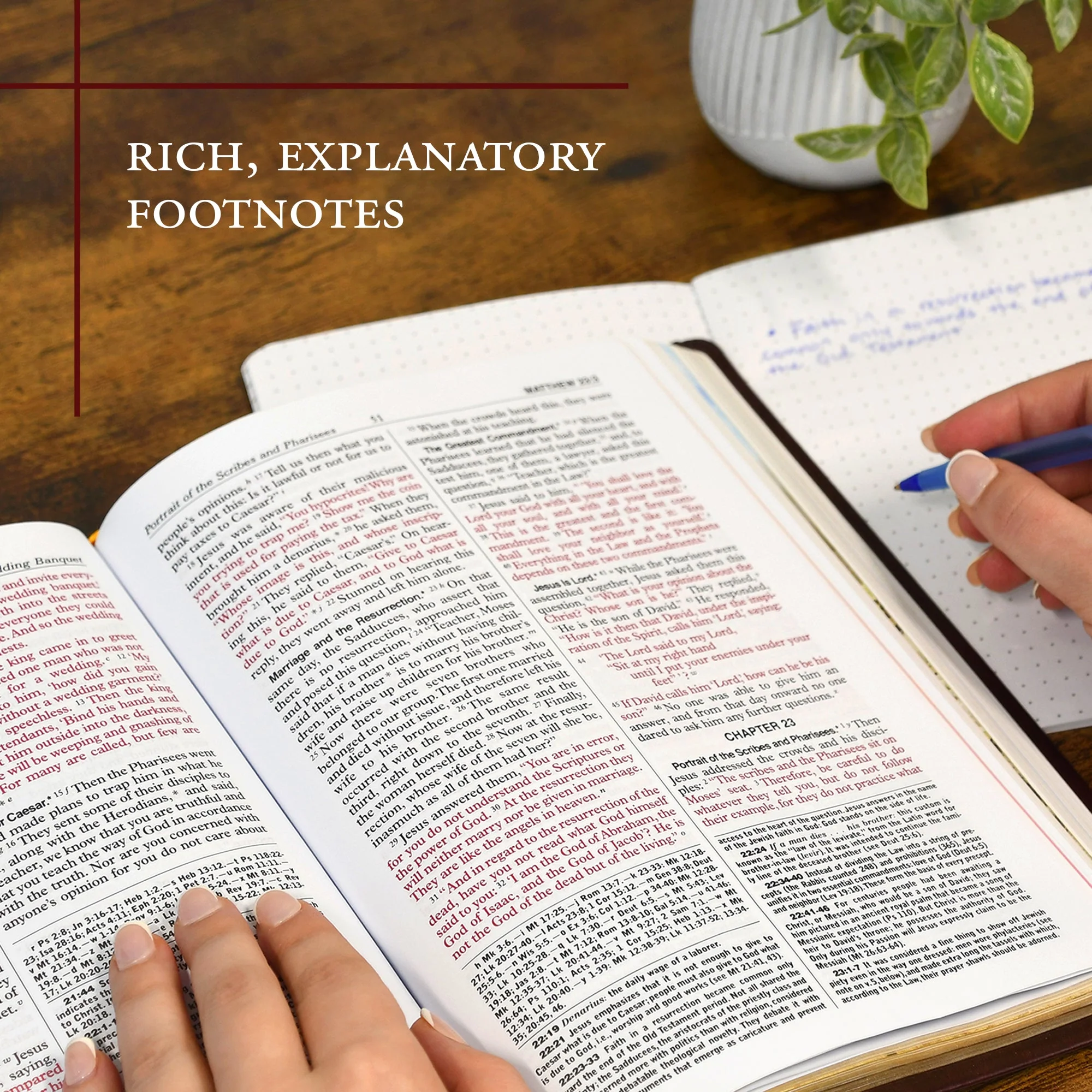 St. Joseph New Catholic Bible (Gift Edition - Large Type) - Image 7