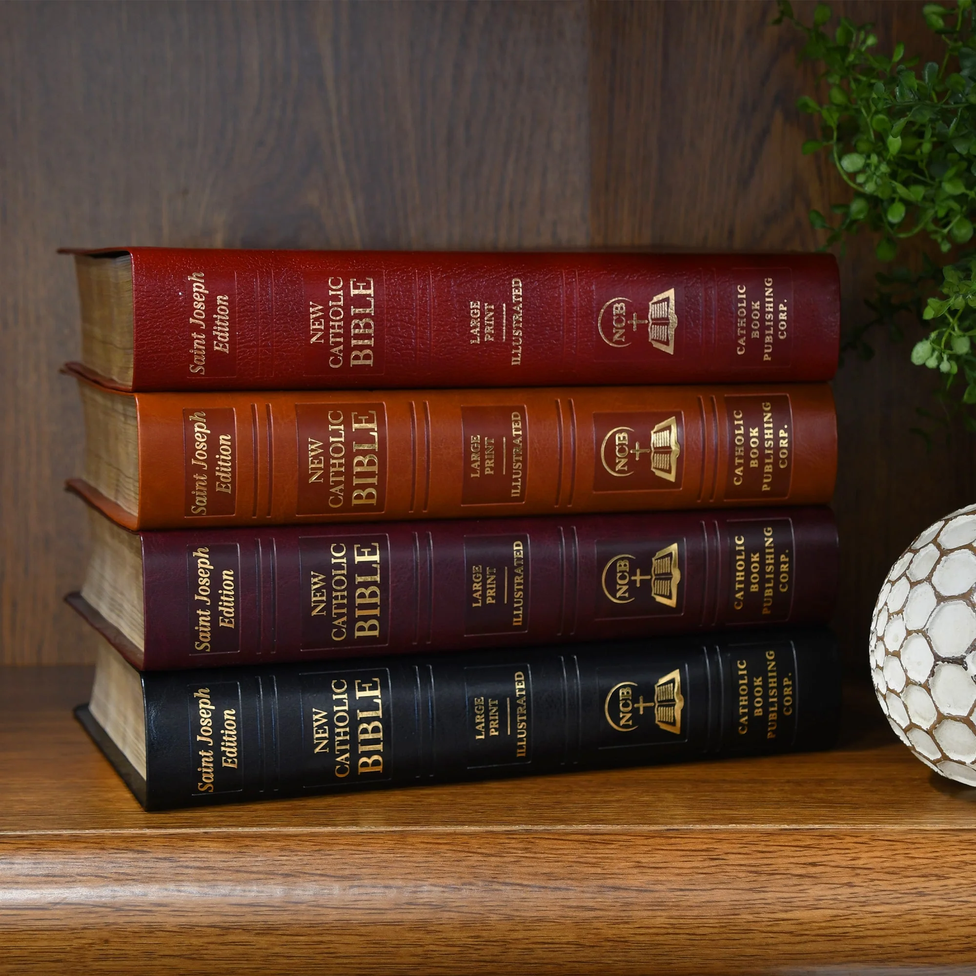 St. Joseph New Catholic Bible (Gift Edition - Large Type) - Image 4