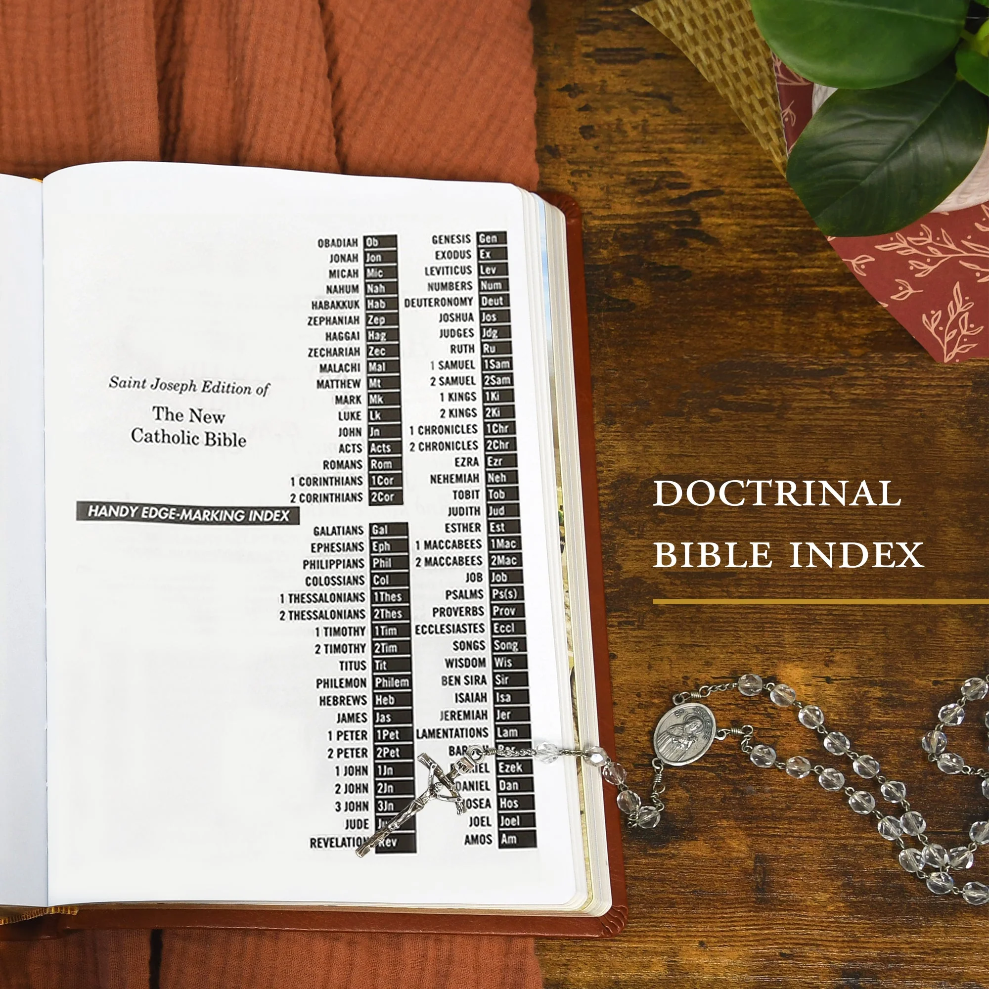 St. Joseph New Catholic Bible (Gift Edition-Personal Size) - Image 5