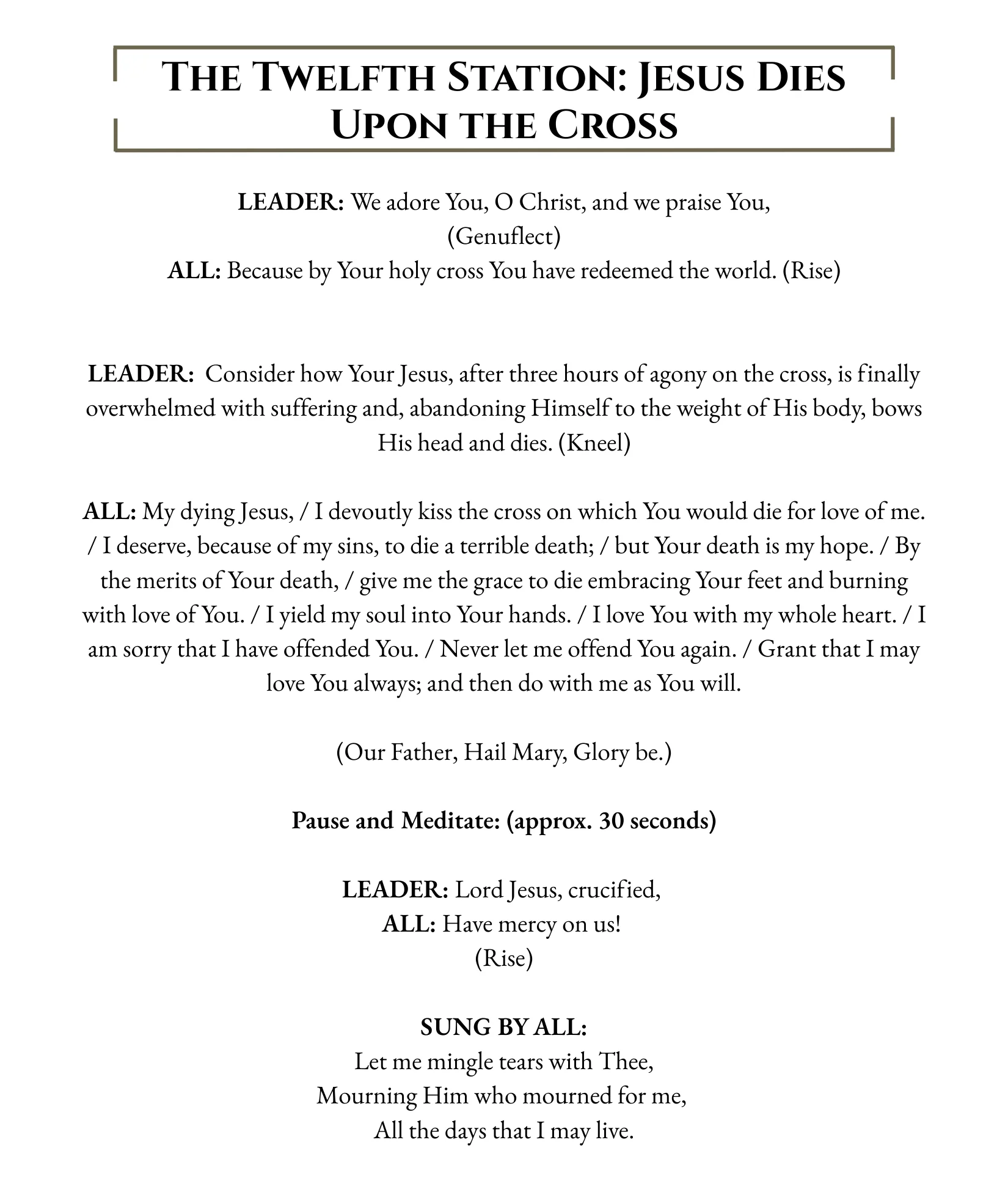 Stations of the Cross - Image 32