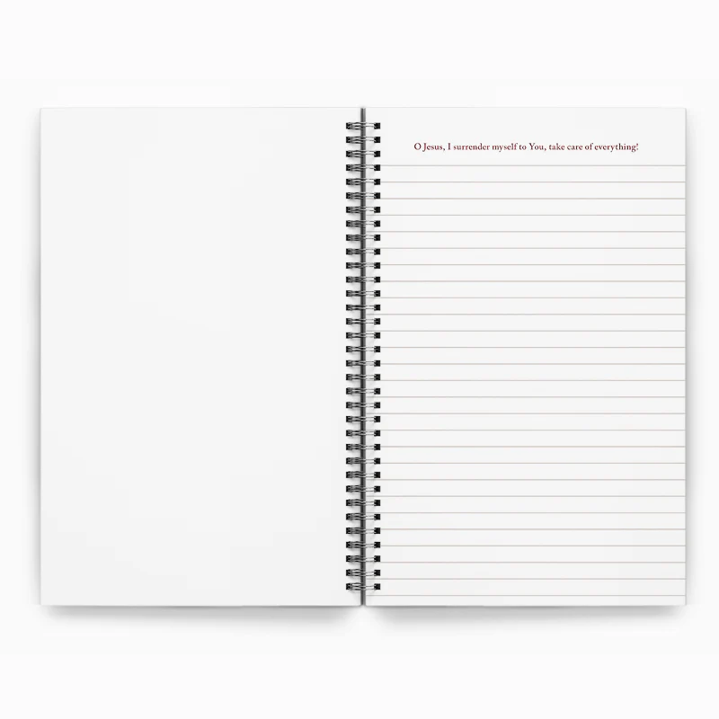 Surrender Novena Journal - NEW - Image 3