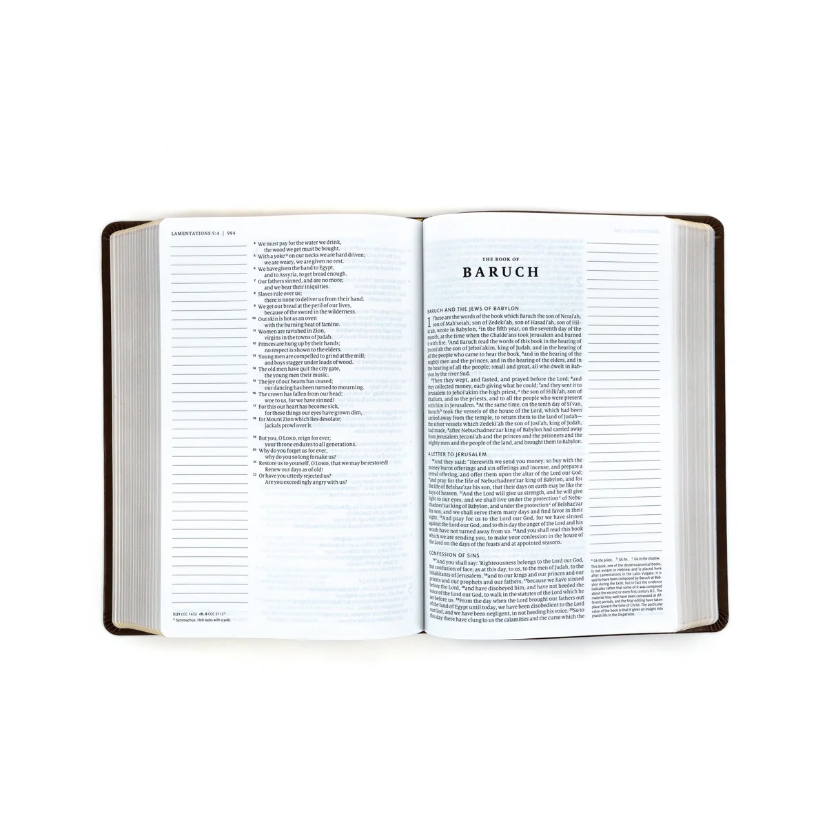The Ave Maria Notetaking Bible (RSV2CE) - Image 3