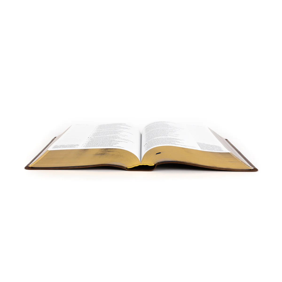 The Ave Maria Notetaking Bible (RSV2CE) - Image 5