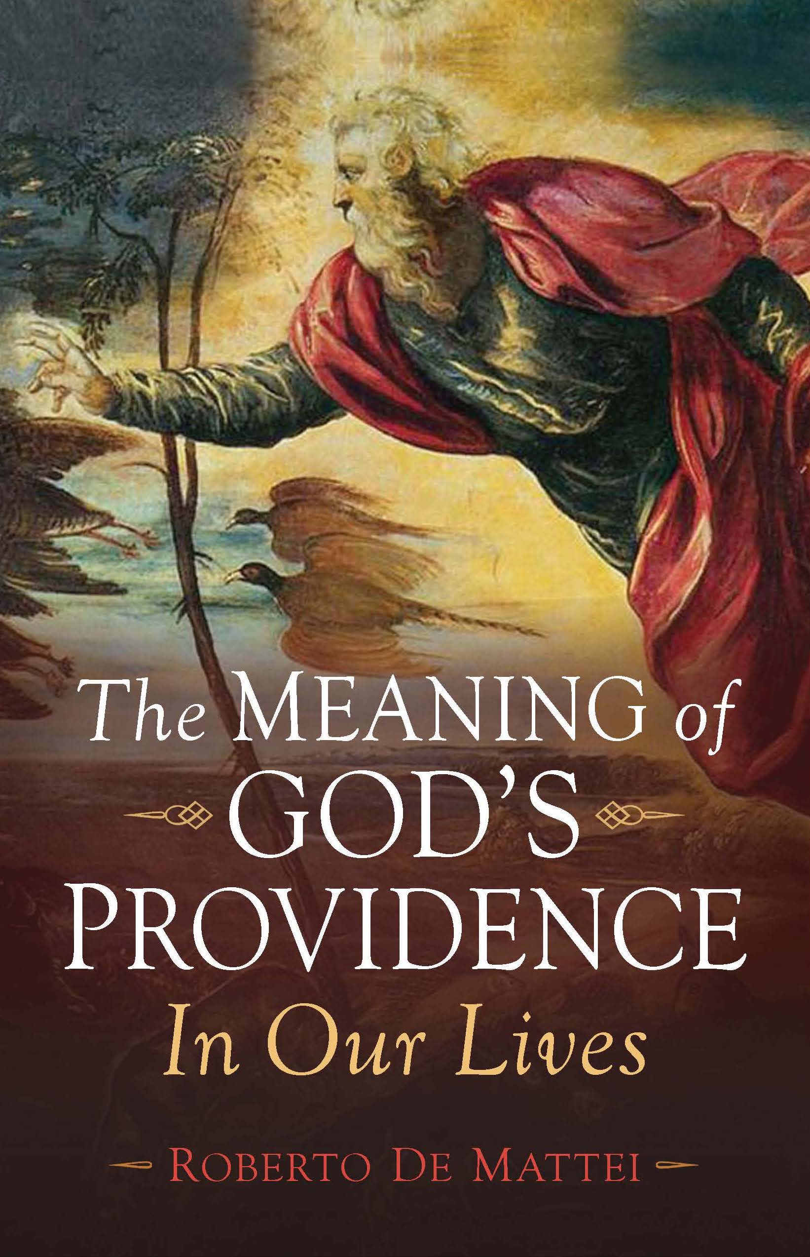 The Meaning of God's Providence - Image 2