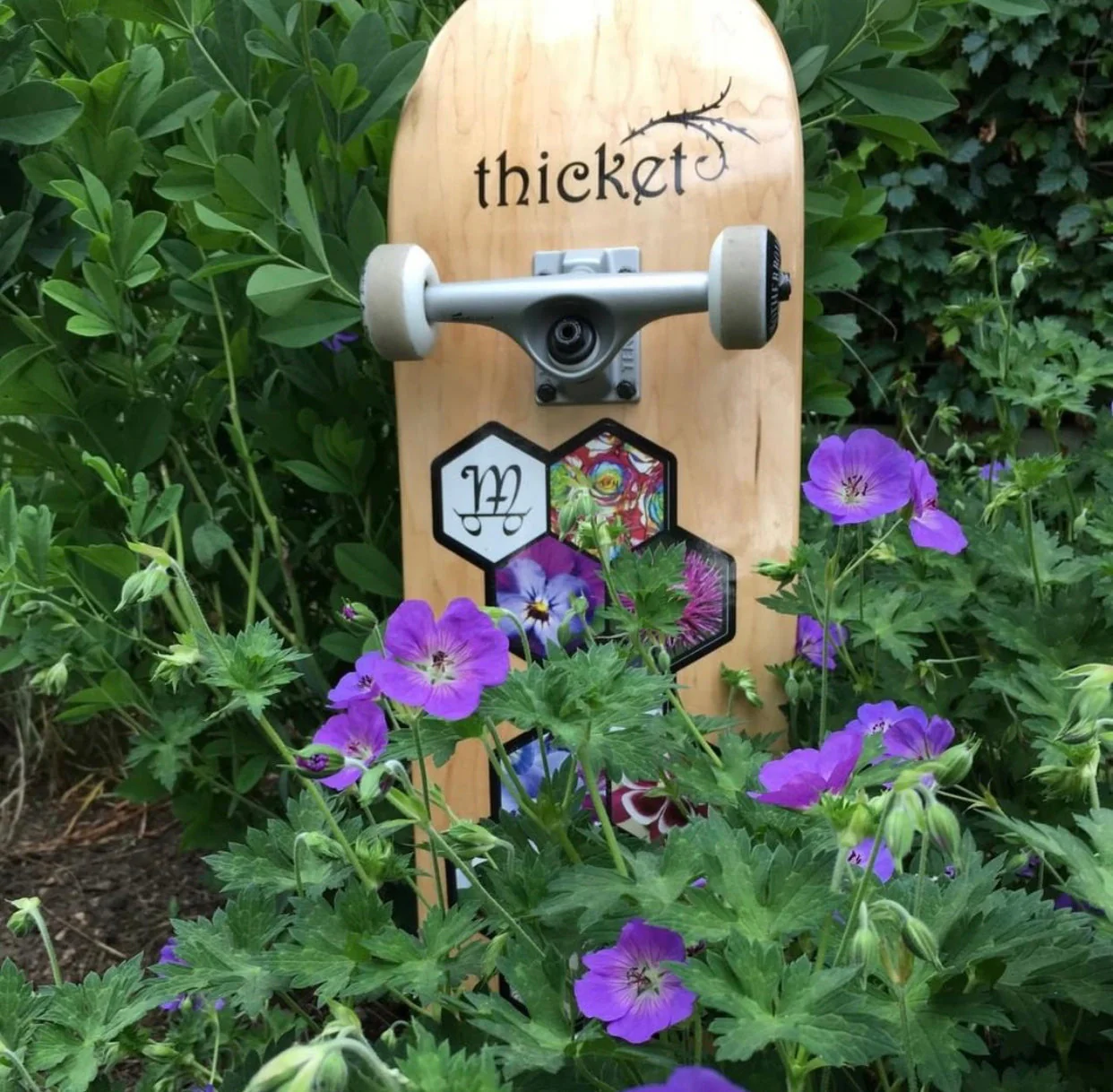 Thicket Complete Skateboard - Image 3