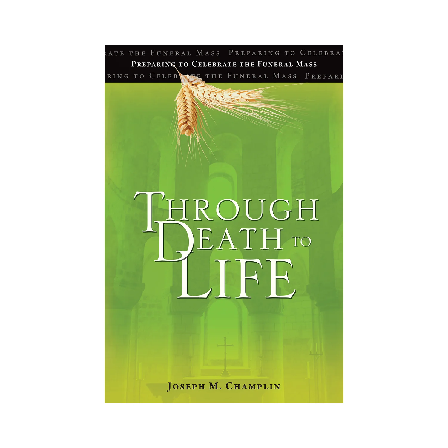 Through Death to Life (Revised, Paperback)