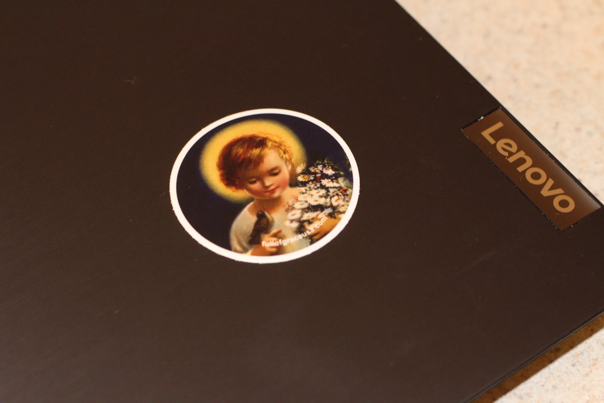 Vita Mundi decal - Image 6