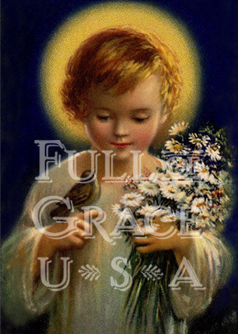 Vita Mundi Print 5X7 - Image 2