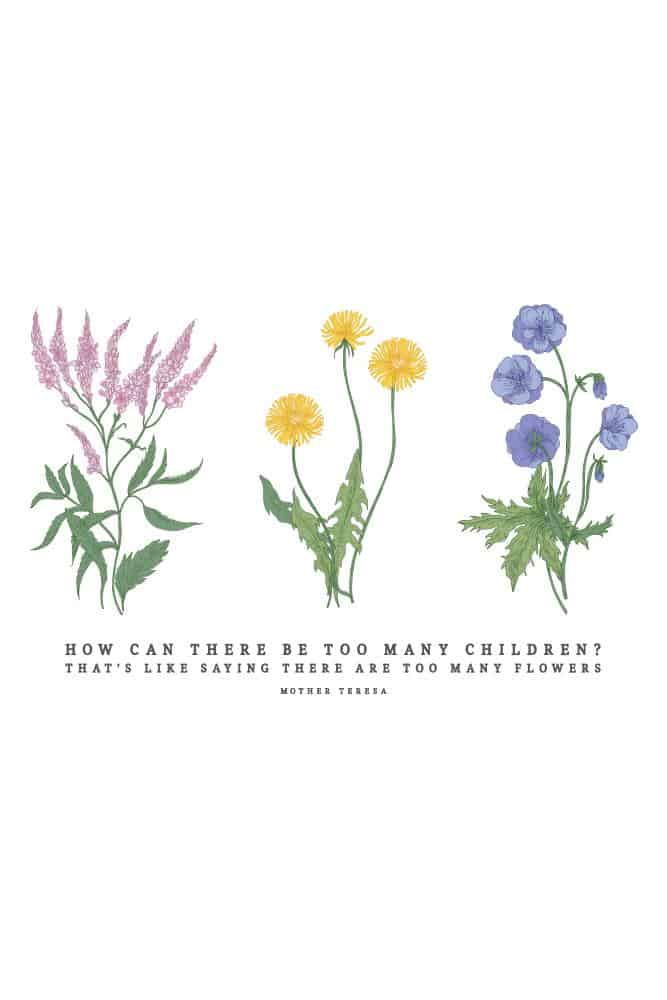 Wildflower Tee - Image 4